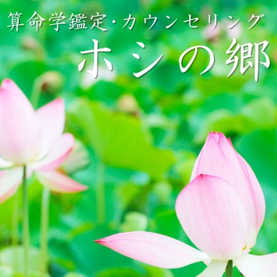 ツクツク!!通販