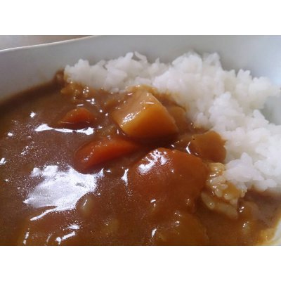 自然栽培米・玄米 1kg 、ベジカレー（野菜カレー・豆カレー）セット