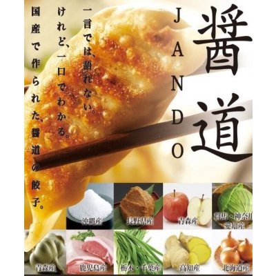 醤道オリジナル黒豚餃子《焼き餃子、水餃子兼用》