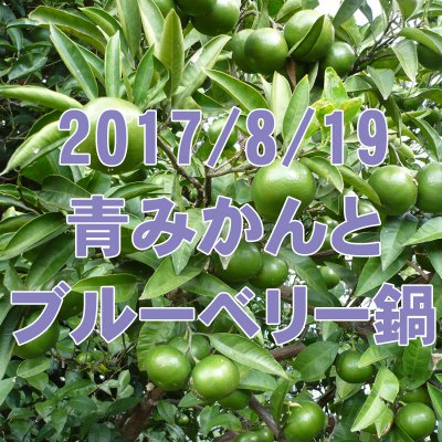 8/19 青みかんとブルーベリー鍋: 秘境里山で夏の旬とノスタルジー体験!