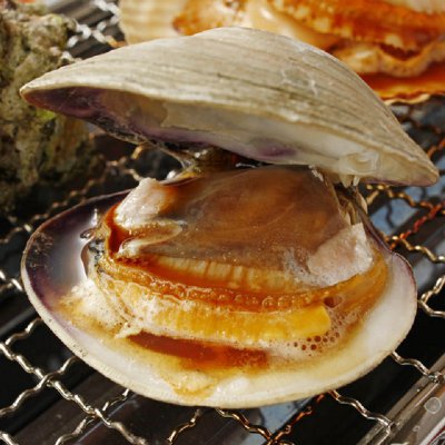 〖送料無料〗ホンビノス貝最強浜焼きベストサイズ！漁師直送！２キロ！！