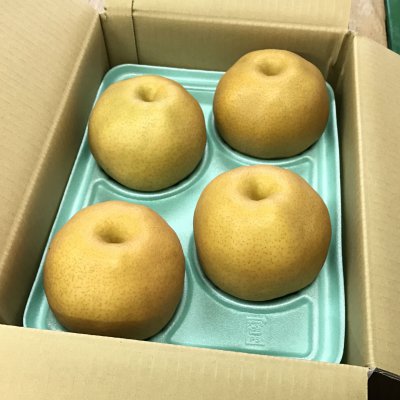 【当園最後の品種】　あたご梨　3㎏　4〜5個入り