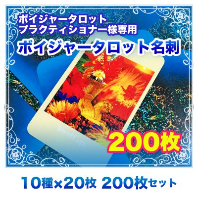 【名刺】ボイジャー名刺 200枚セット(10種類×20枚)