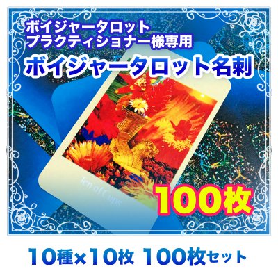 【名刺】ボイジャー名刺 100枚セット (10種類×10枚)