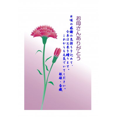 お祝い米(魚沼産コシヒカリ)