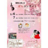 動物と楽しむ ばらコンサート 5月6日(土)