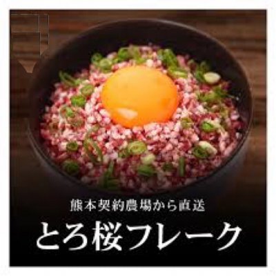 桜トロフレーク 100g | 当社特許技術を用いた甘さ香りが広がる馬肉フレーク