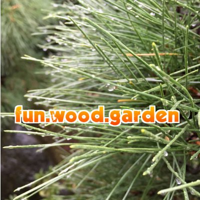 FUN WOOD GARDEN