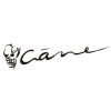 Crâne