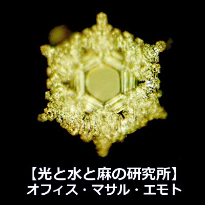 光と水と麻の研究所/オフィス・マサル・エモト