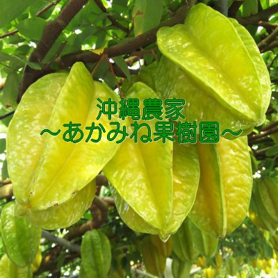 あかみね果樹園