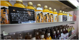 鎌倉　ippin　厳選　食材　ココナツオイル